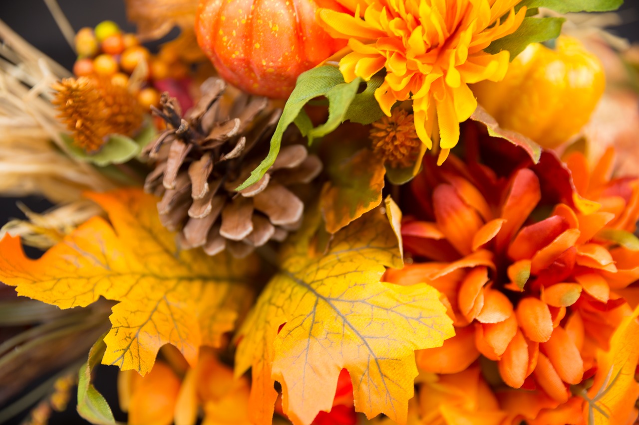 fall-flowers-2716513_1280